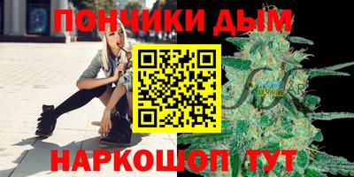 молекула духа Новозыбков