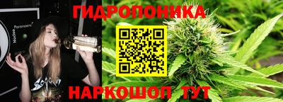 молекула духа Новозыбков
